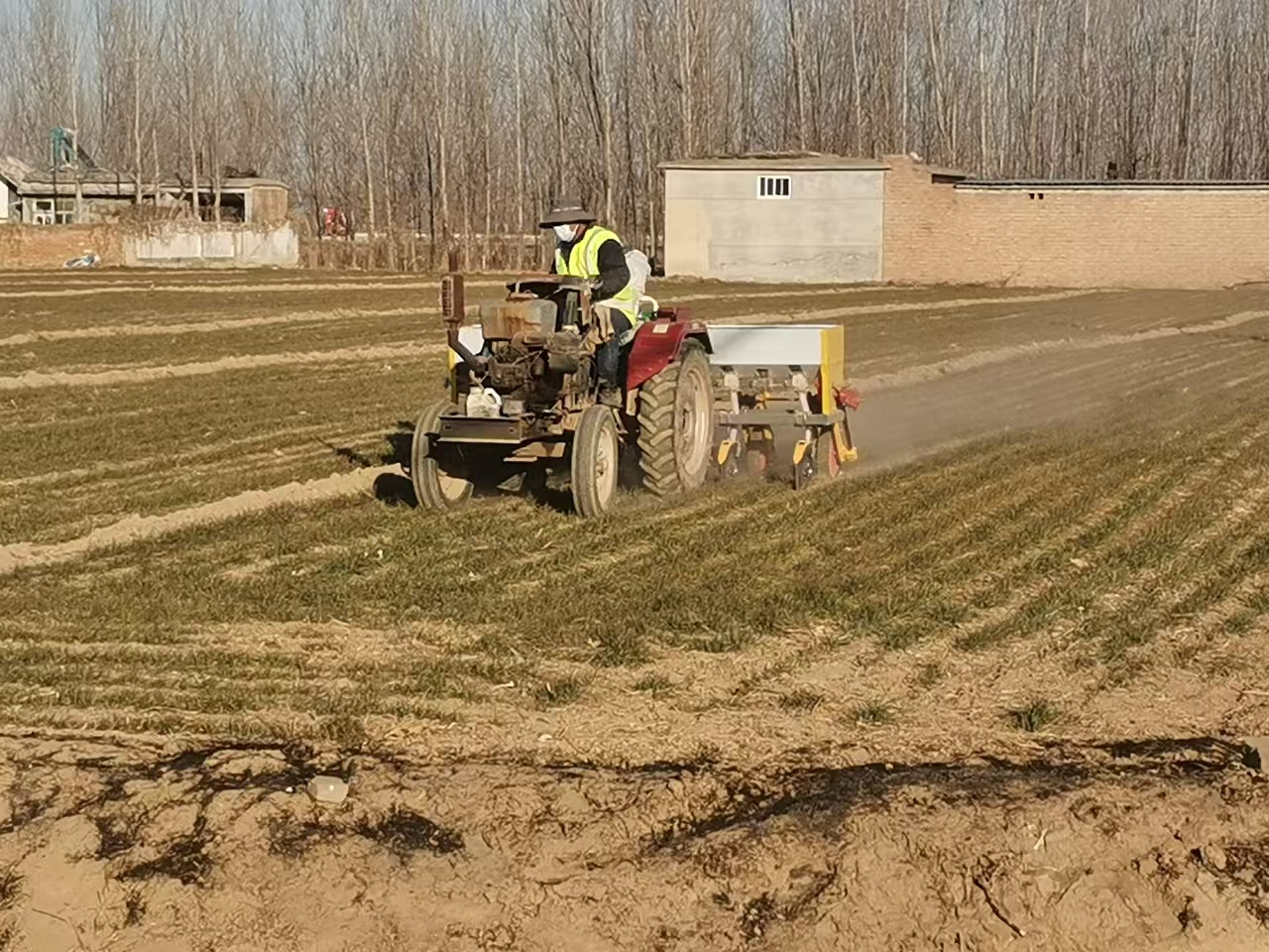 东阿县郭口灌区：小麦喝返青水正“酣”(图1)
