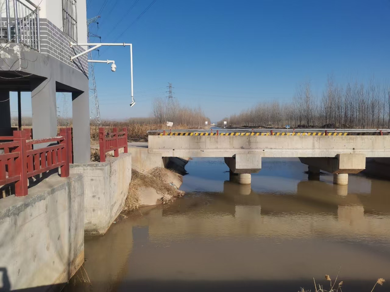 东阿县郭口灌区：小麦喝返青水正“酣”(图2)