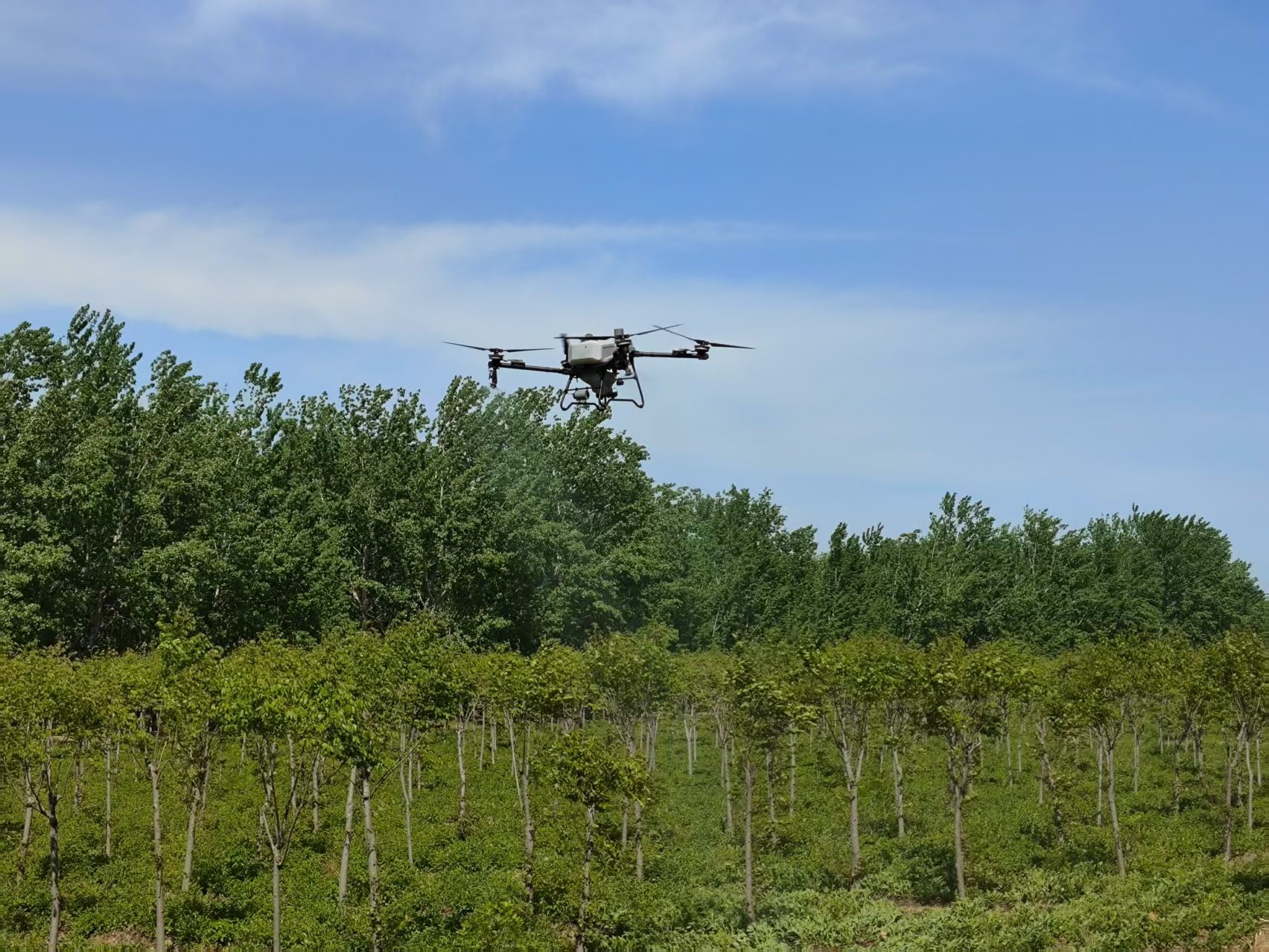 安澜公司东阿分公司：‌“人机协同”筑牢黄河生态屏障(图2)