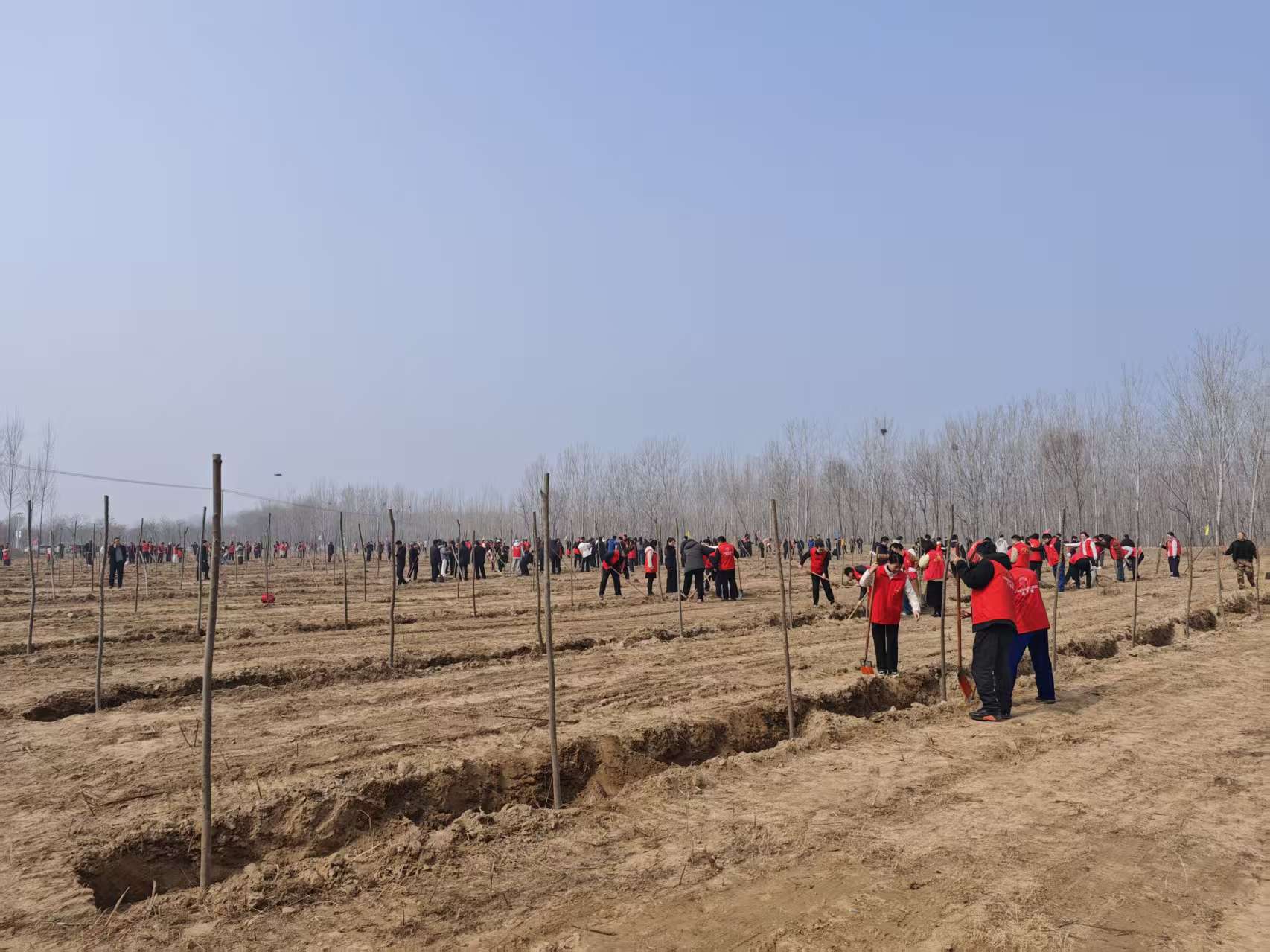 春播新绿践使命 匠心植绿绘林海